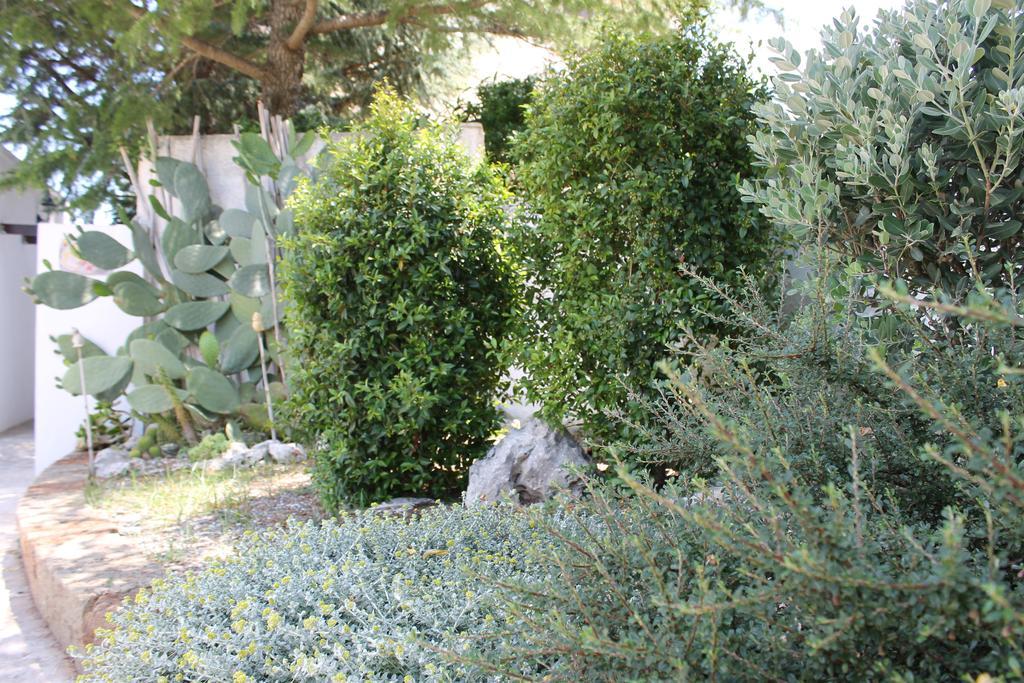 Albachiara Bed & Breakfast Monopoli Extérieur photo