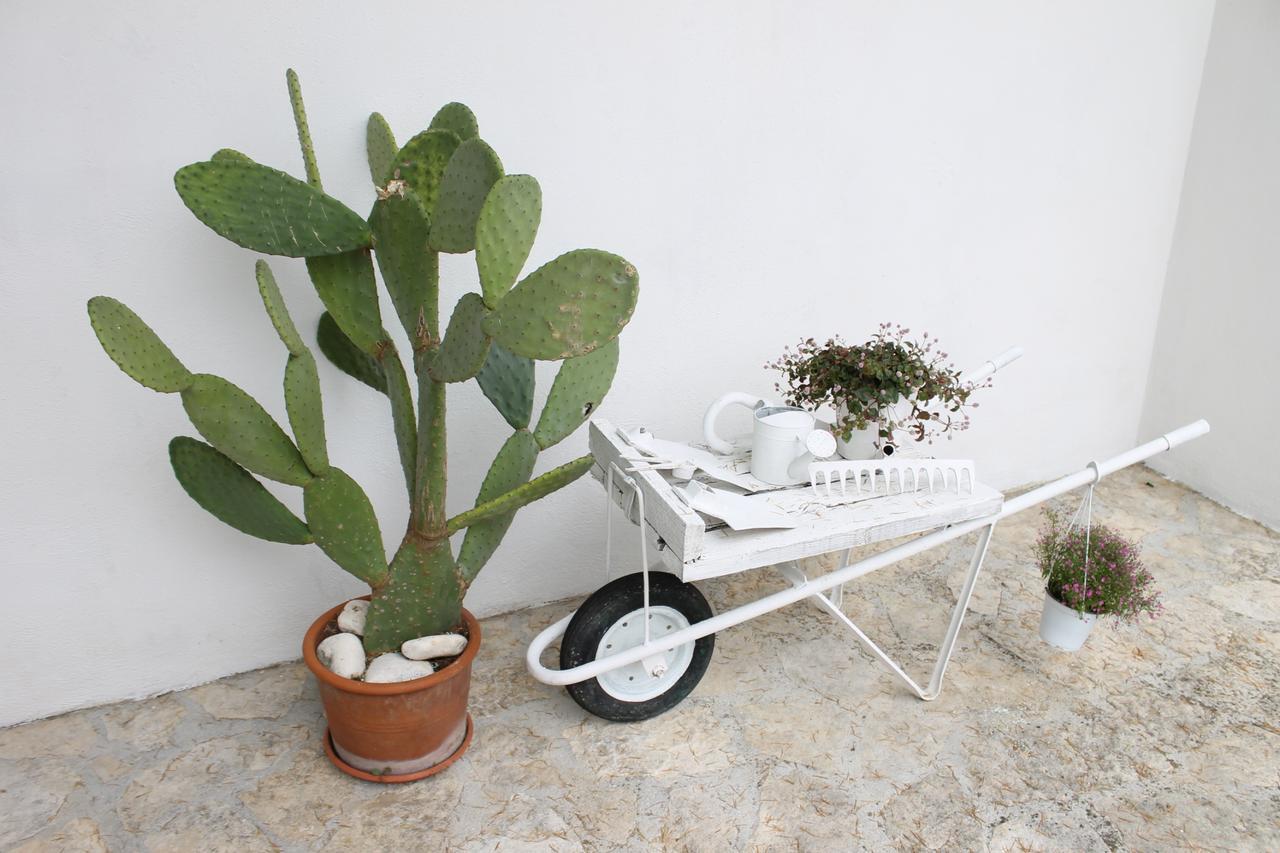 Albachiara Bed & Breakfast Monopoli Extérieur photo